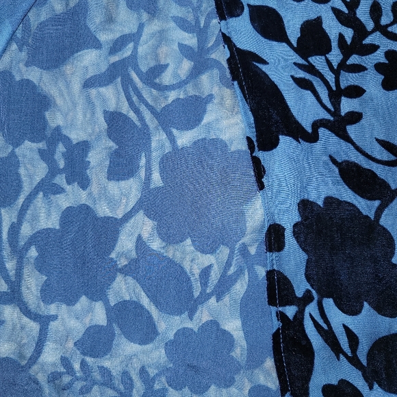 🧿Janis In Paris🧿 Vintage Velvet Sheer Dress Set - Picture 4 of 5